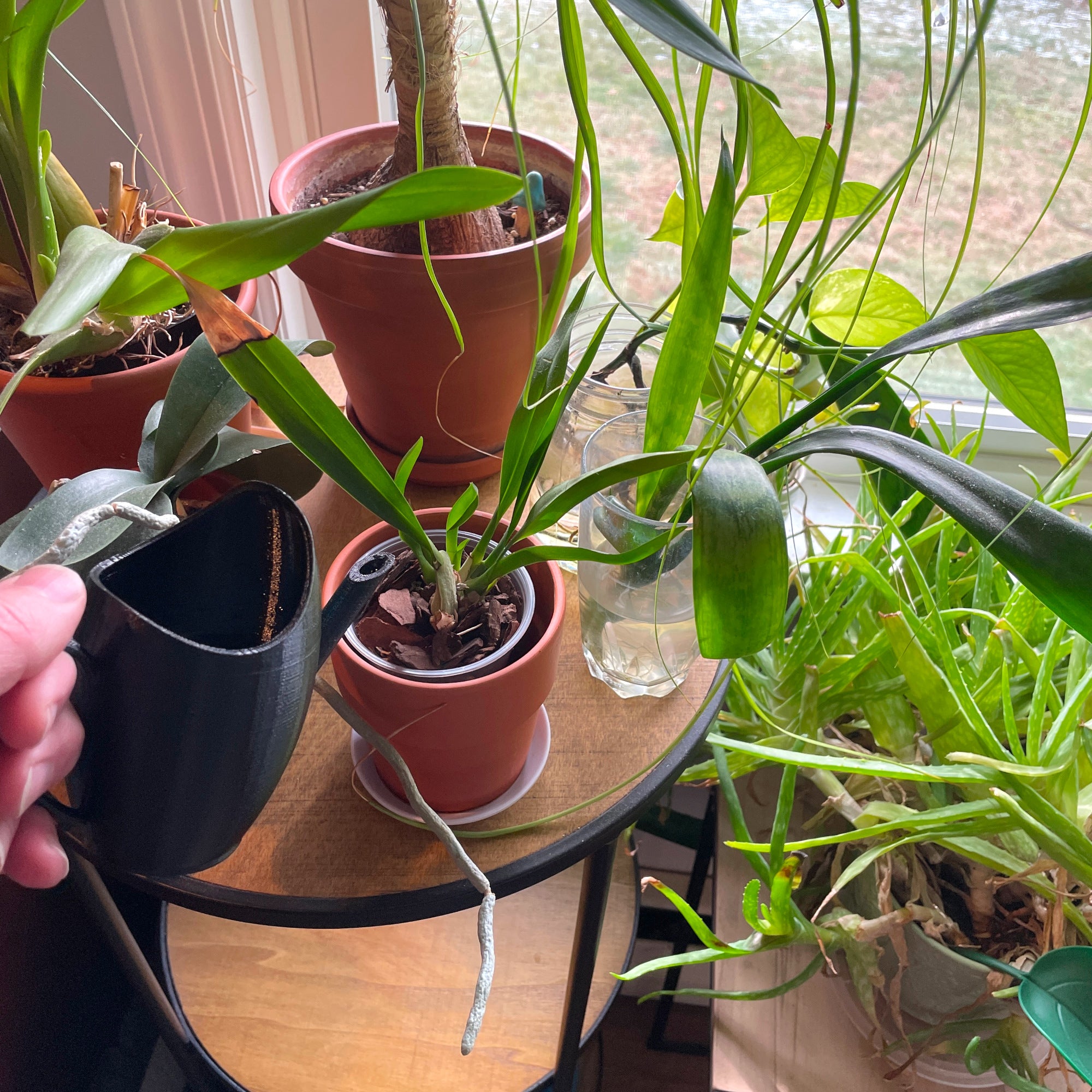 Little Pourer™ – Gentle Precision Waterer for Small Plant Pots