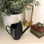 Little Pourer™ – Gentle Precision Waterer for Small Plant Pots