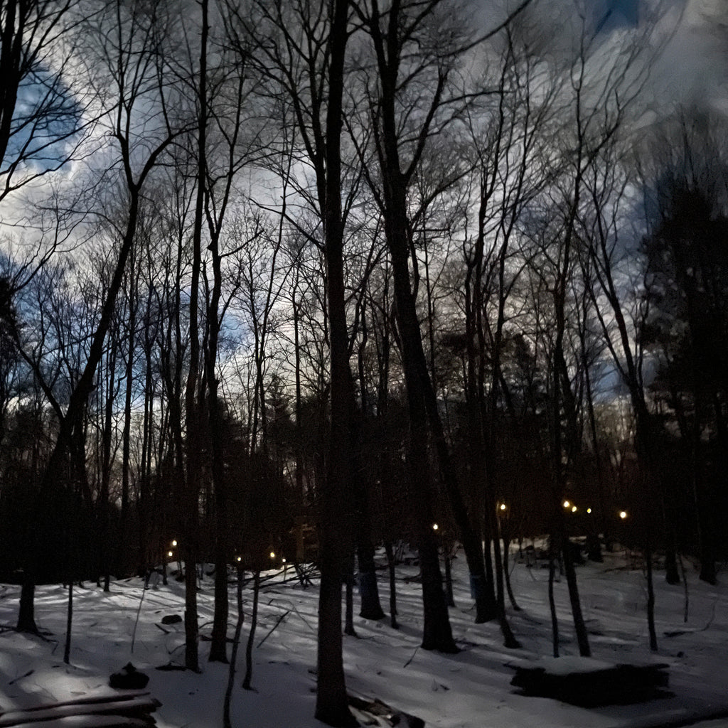 Gnobby Gnome Maple Syrup - A Unique Small-Batch Maple Syrup from New York's Catskill Region