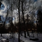 Gnobby Gnome Maple Syrup - A Unique Small-Batch Maple Syrup from New York's Catskill Region