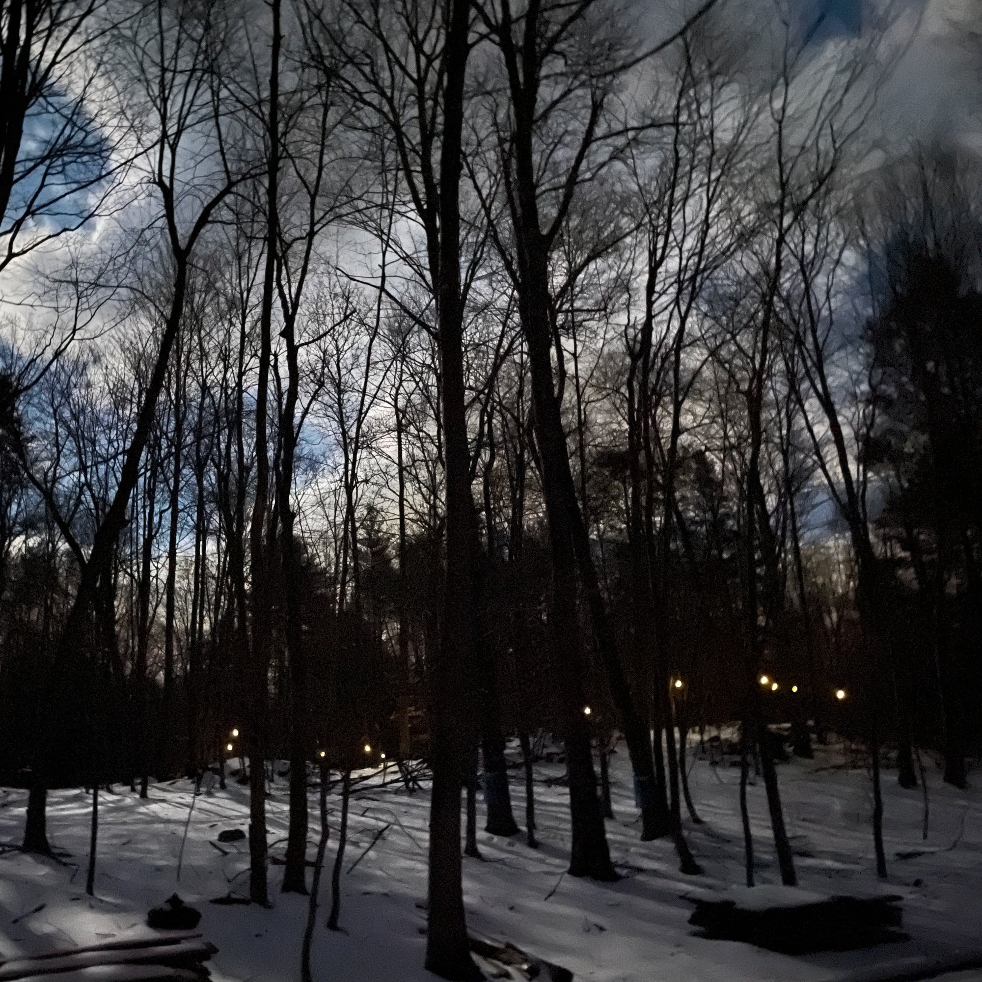 Gnobby Gnome Maple Syrup - A Unique Small-Batch Maple Syrup from New York's Catskill Region