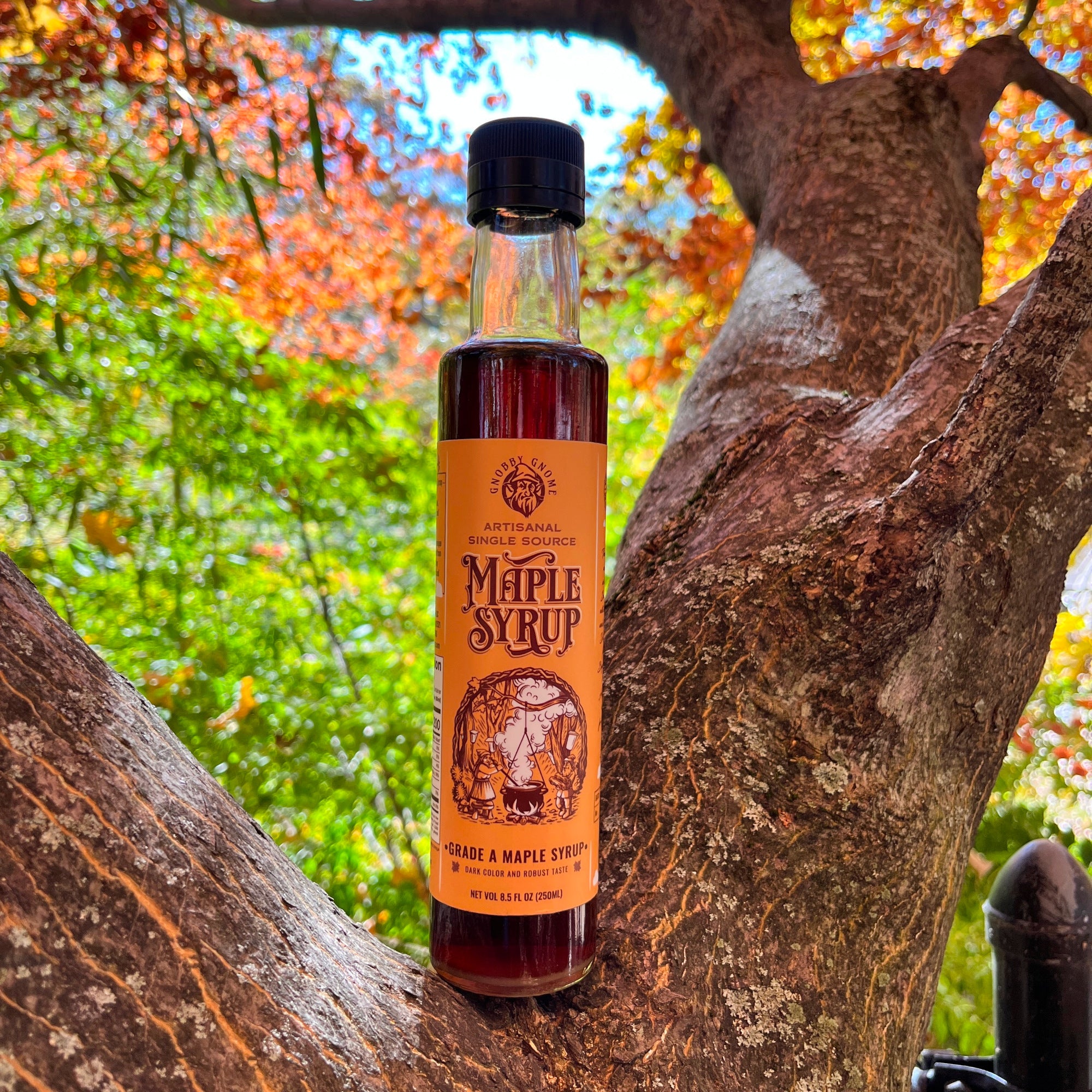 Gnobby Gnome Maple Syrup - A Unique Small-Batch Maple Syrup from New York's Catskill Region
